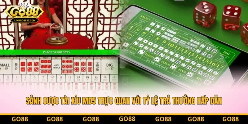 Sảnh cược Tài Xỉu MD5 trực quan với tỷ lệ trả thưởng hấp dẫn Sảnh cược Tài Xỉu MD5 trực quan với tỷ lệ trả thưởng hấp dẫn